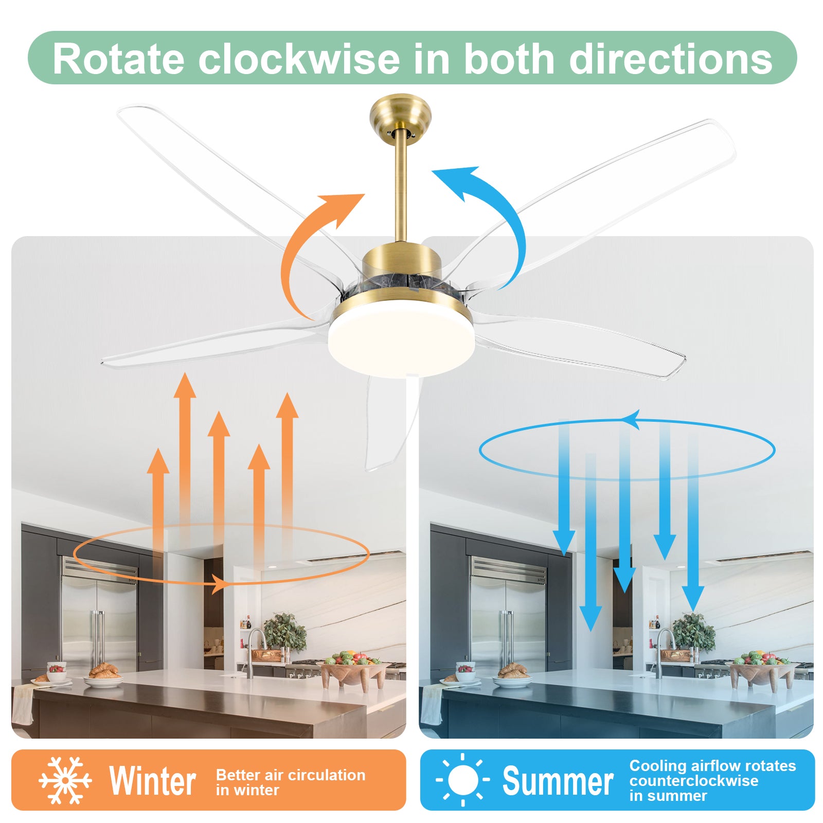 Smart Ceiling Fan with Light Modern Clear Blades Gold Reversible Dimmable LED - okeli lights