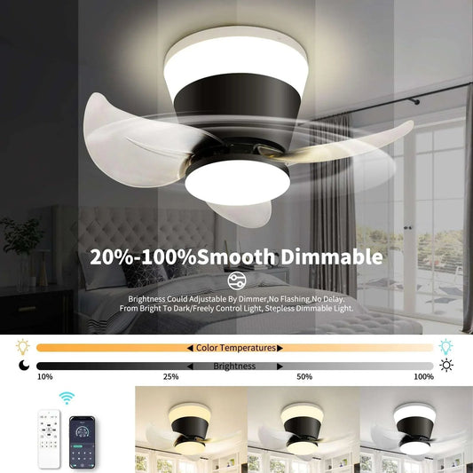 OKELI Modern Small Ceiling Fan with Light and Remote Black APP Control - okeli lights